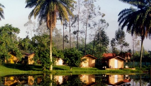 Casas da comunidade refletidas no lago, entre palmeiras